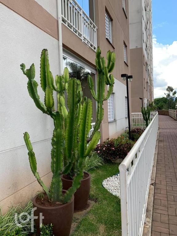 Apartamento à venda com 2 quartos, 51m² - Foto 8