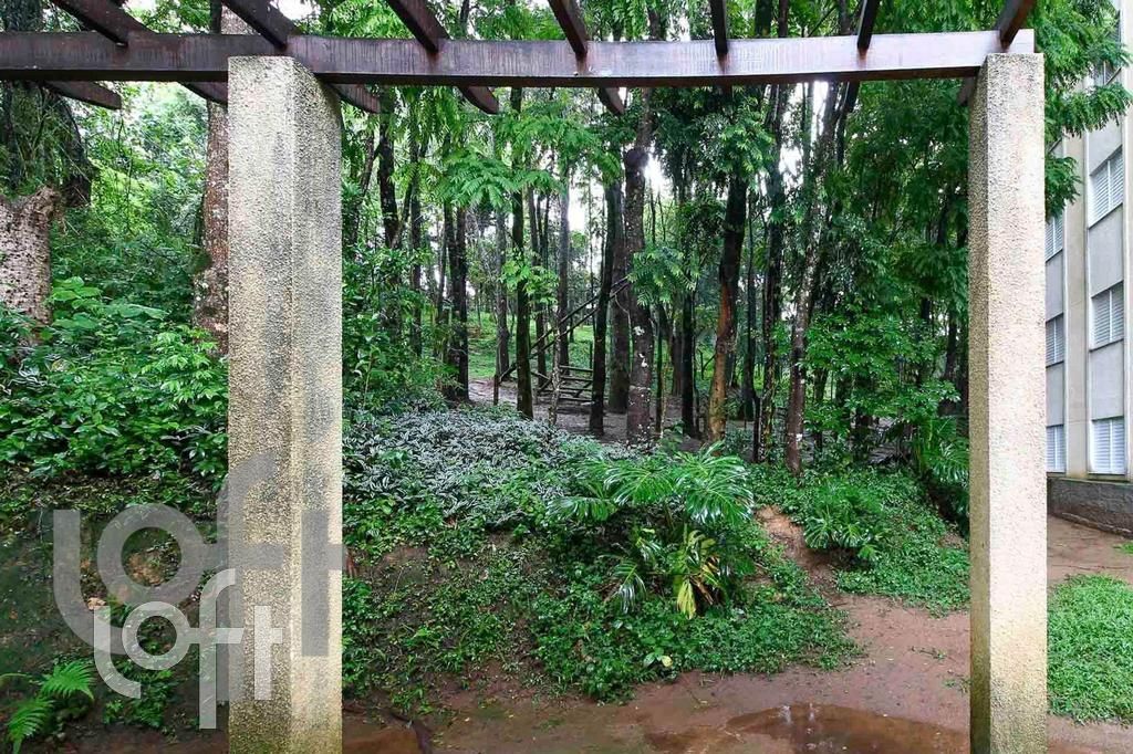 Apartamento à venda com 2 quartos, 55m² - Foto 26