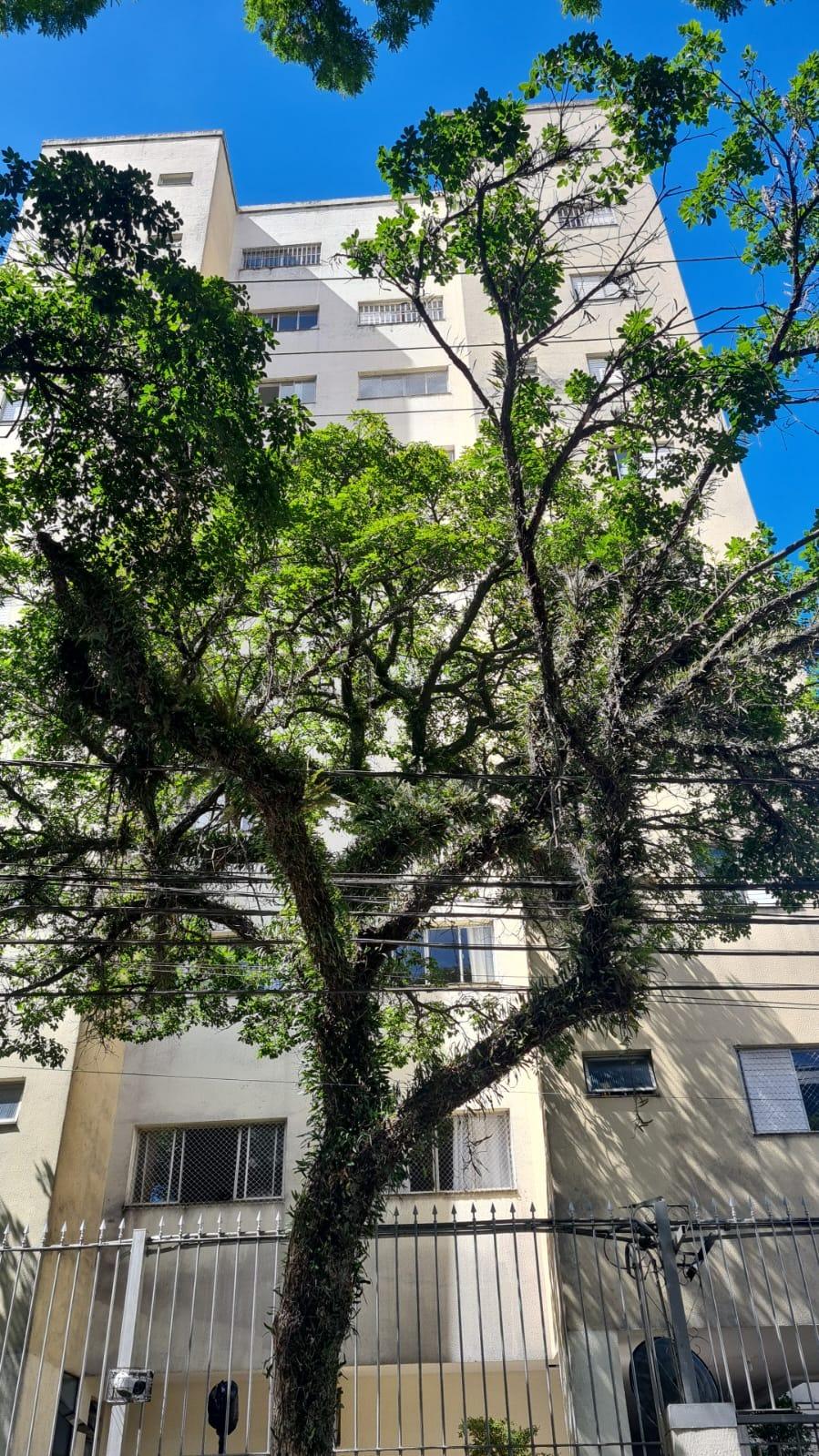 Apartamento, 2 quartos, 57 m² - Foto 23