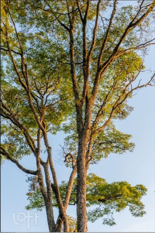 Casa, 5 quartos, 1300 m² - Foto 48