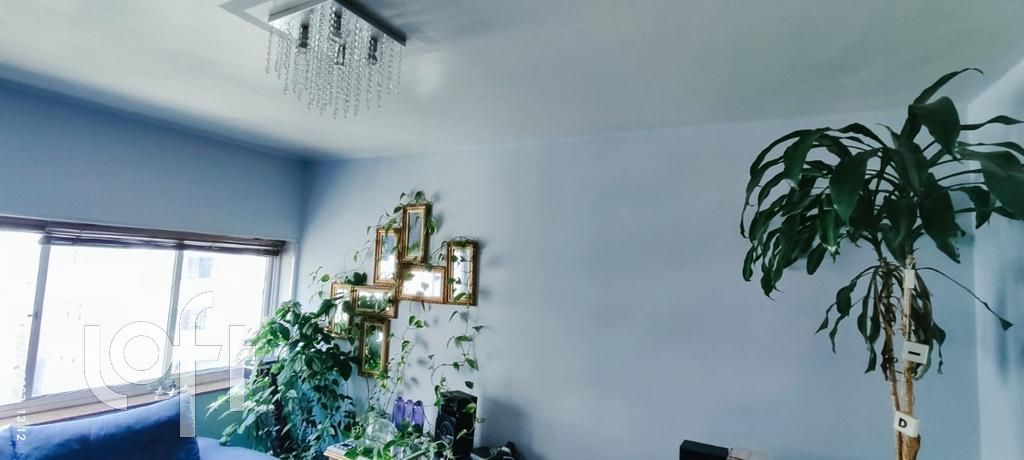 Apartamento, 2 quartos, 65 m² - Foto 143