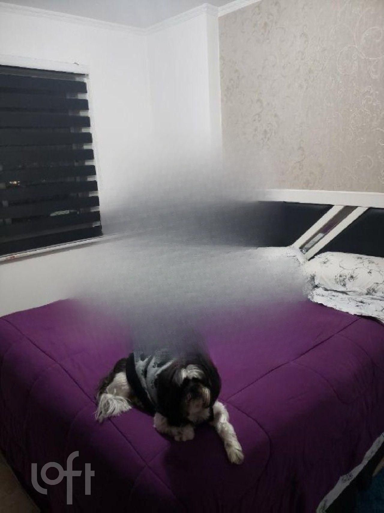 Apartamento, 3 quartos, 96 m² - Foto 22