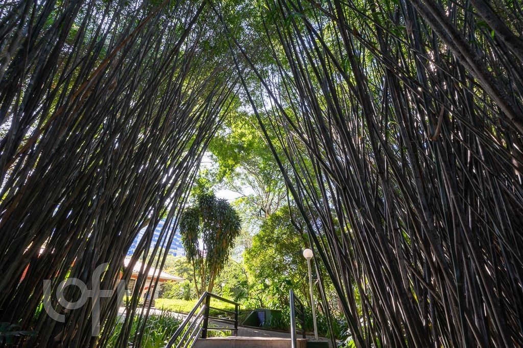 Apartamento, 4 quartos, 190 m² - Foto 64