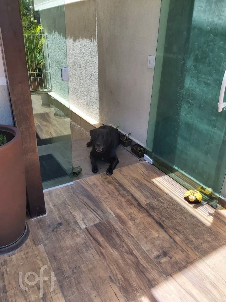 Casa, 3 quartos, 600 m² - Foto 29