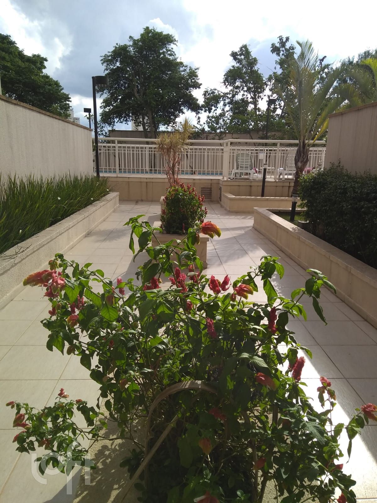 Apartamento à venda com 3 quartos, 56m² - Foto 23