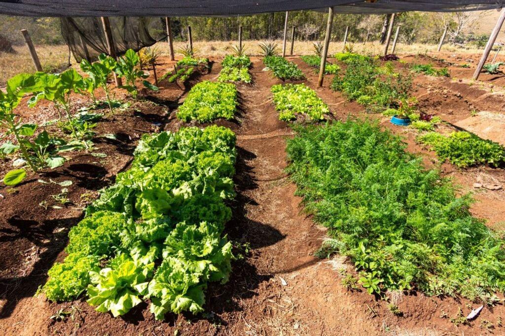 Sítio à venda com 7 quartos - Foto 43