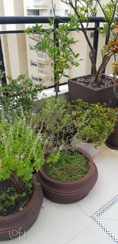 Apartamento, 3 quartos, 337 m² - Foto 13