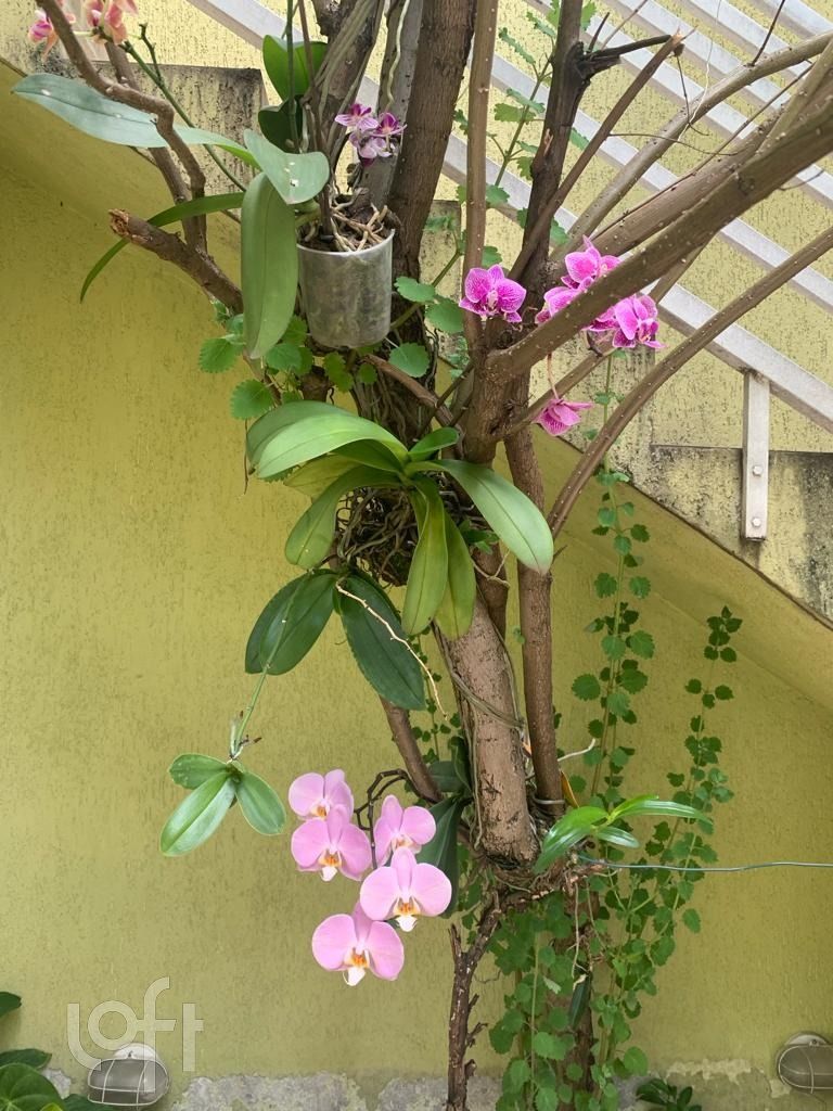 Casa, 3 quartos, 115 m² - Foto 24