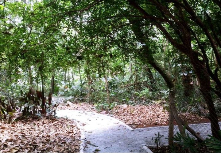 Apartamento, 2 quartos, 43 m² - Foto 26