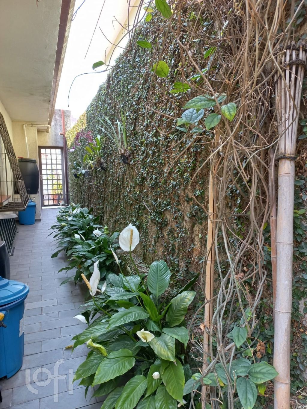 Casa, 3 quartos, 225 m² - Foto 19