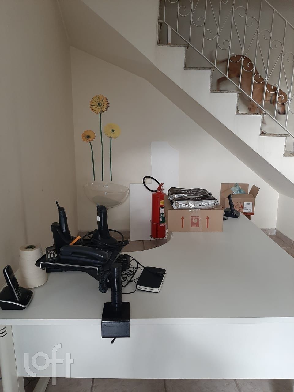 Casa, 4 quartos, 513 m² - Foto 78