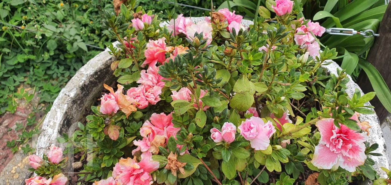 Apartamento, 2 quartos, 53 m² - Foto 15