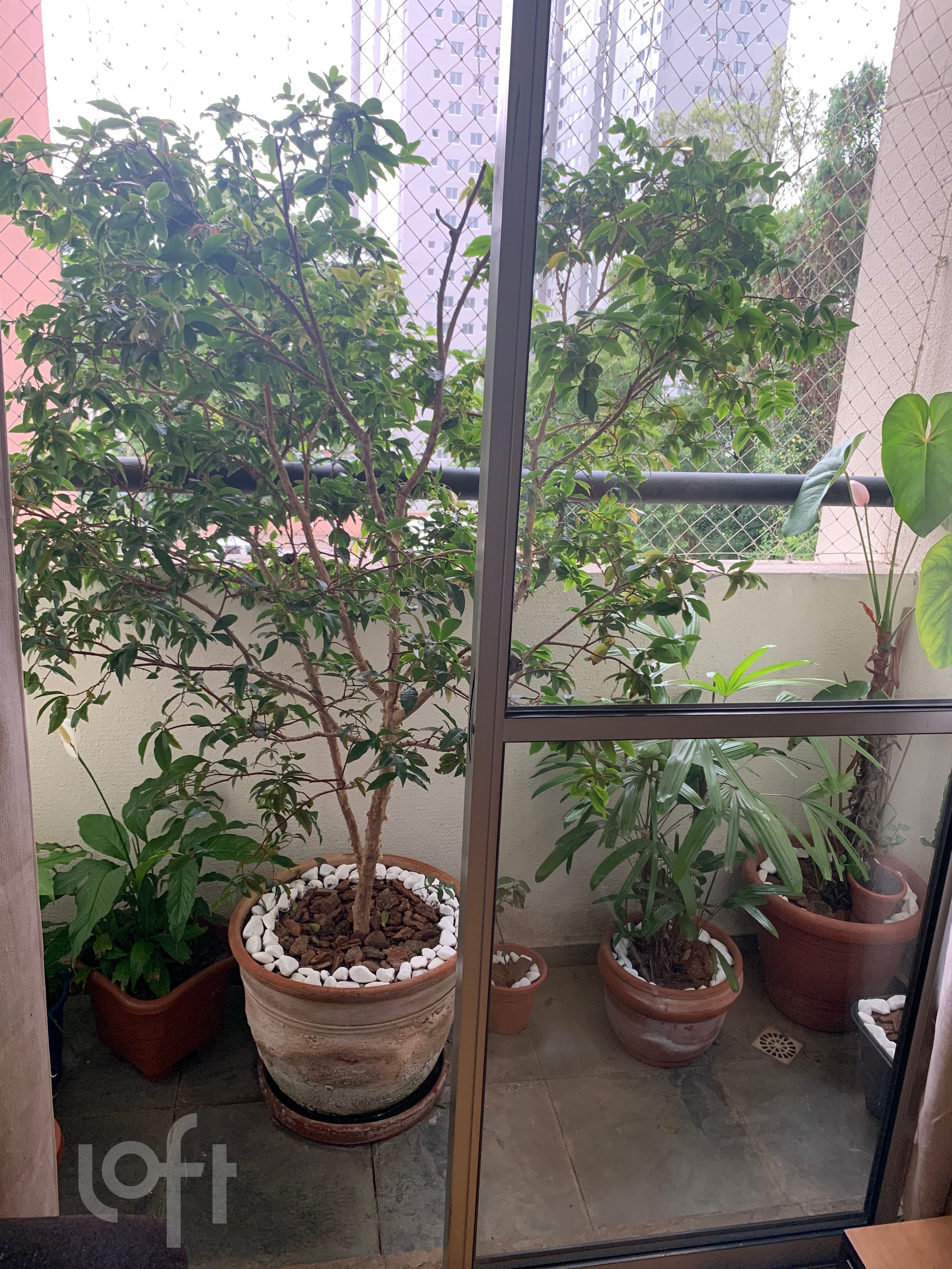 Apartamento, 2 quartos, 52 m² - Foto 6