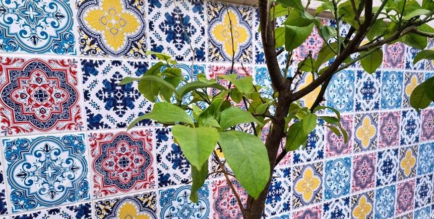 Casa, 3 quartos, 253 m² - Foto 21