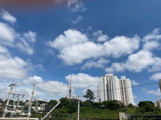 Casa, 4 quartos, 343 m² - Foto 51