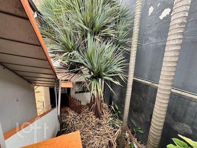 Casa, 3 quartos, 230 m² - Foto 4