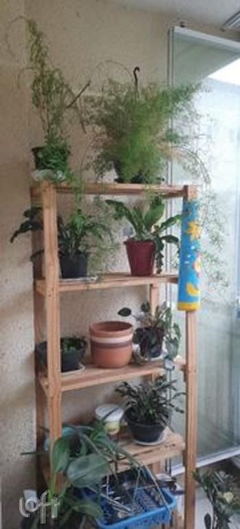 Apartamento à venda com 2 quartos, 54m² - Foto 11