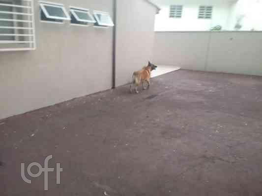 Casa, 4 quartos, 260 m² - Foto 36