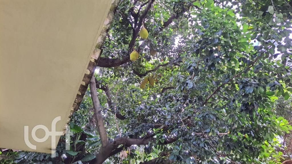 Casa, 4 quartos, 276 m² - Foto 4