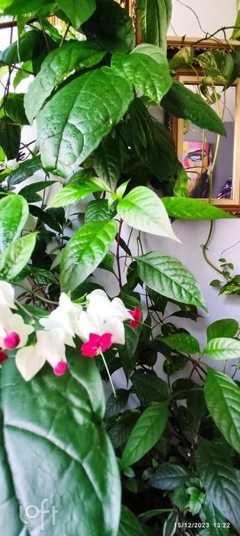 Apartamento, 2 quartos, 65 m² - Foto 36