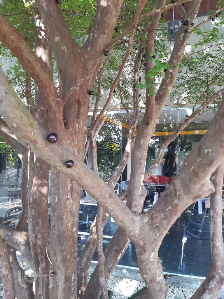 Casa, 4 quartos, 1200 m² - Foto 35