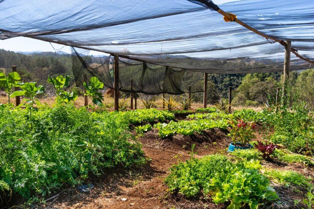 Sítio à venda com 7 quartos - Foto 40