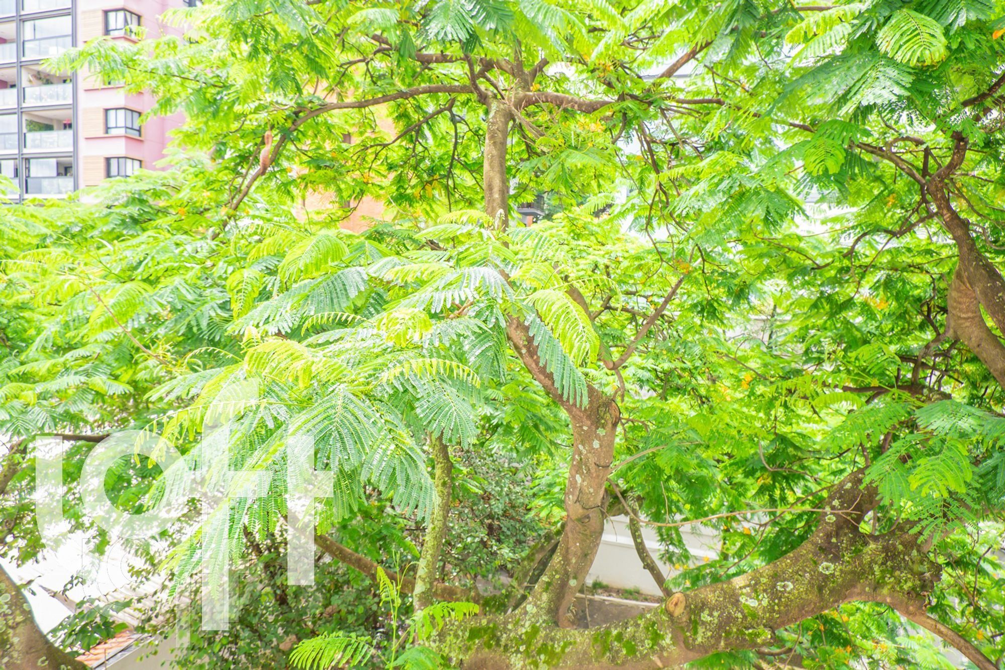 Apartamento, 2 quartos, 60 m² - Foto 14