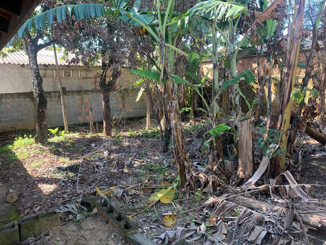 Casa, 3 quartos, 100 m² - Foto 29