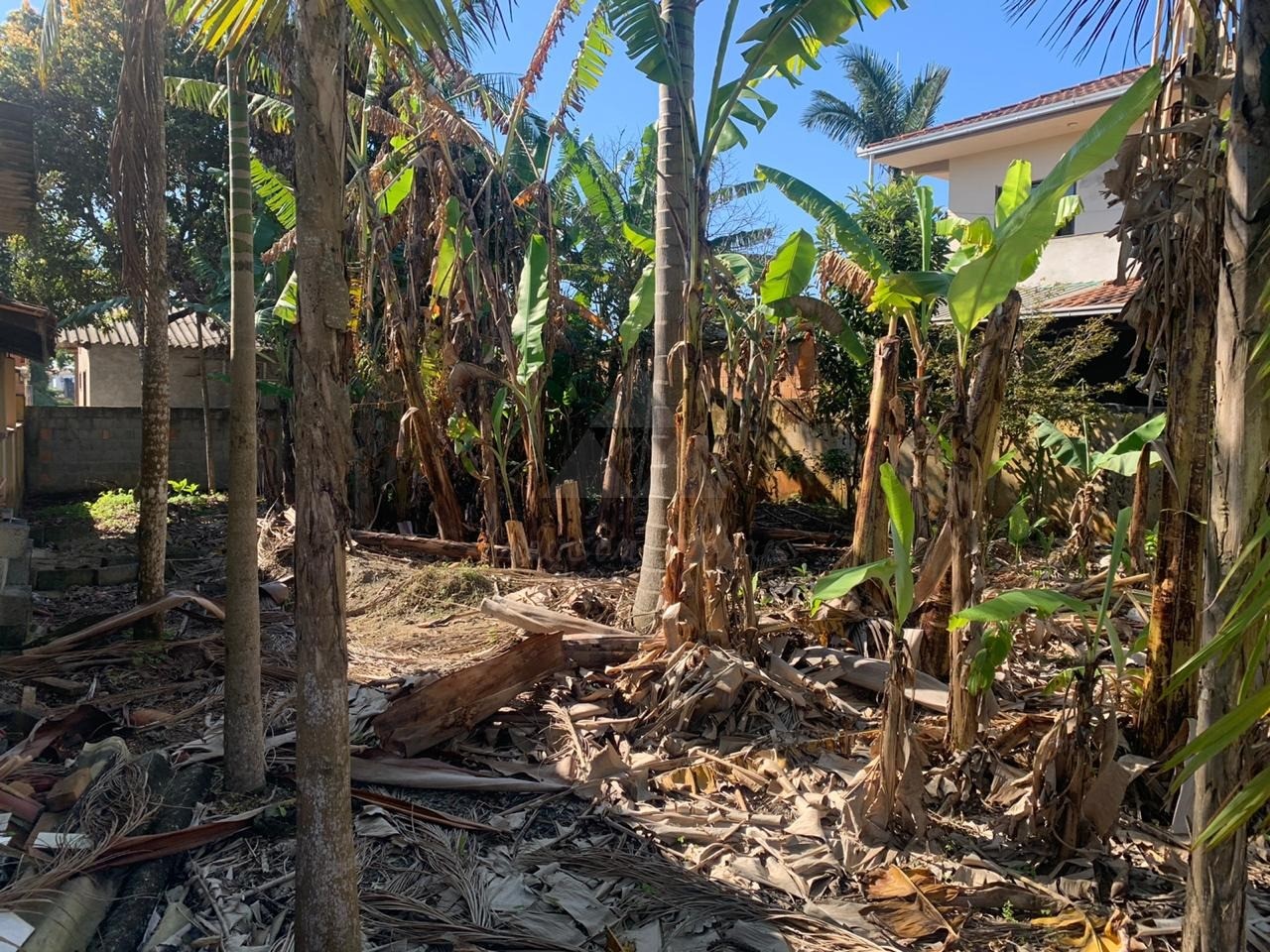 Casa, 3 quartos, 100 m² - Foto 30