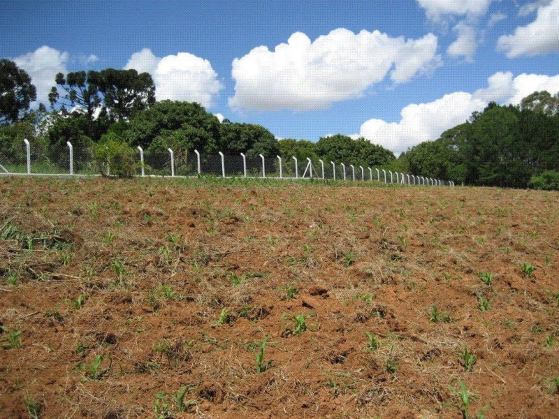 Chácara com 4 dormitórios à venda, 37000 m² por R$ 3.795.000 - foto 2