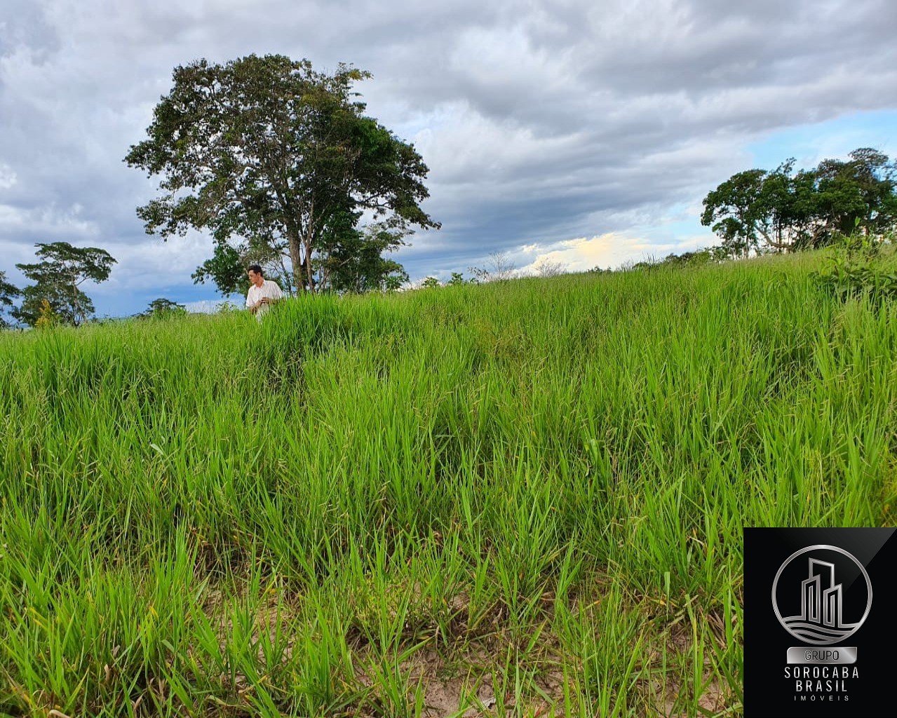 Fazenda rural em alto taquarai - mt, centro