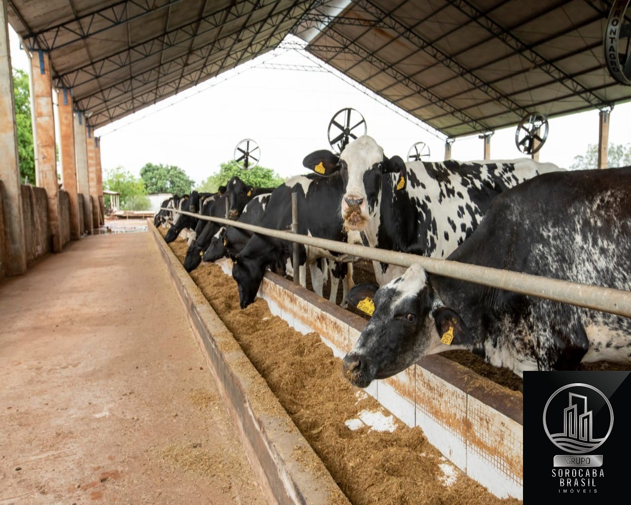 Fazenda rural em emilianópolis - sp, centro