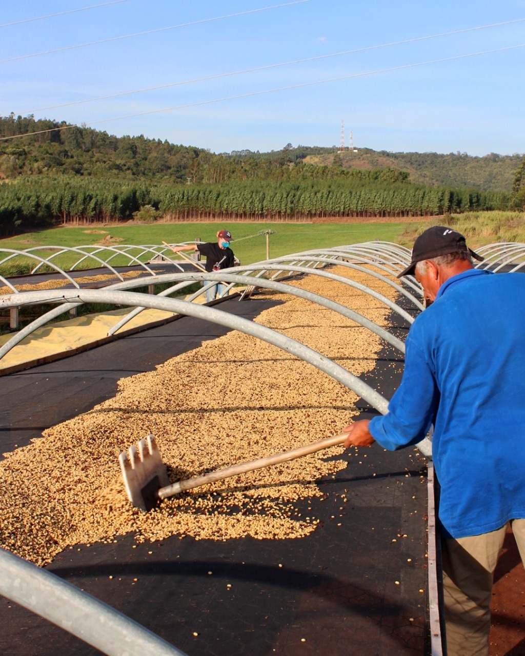 Fazenda rural em bragança paulista - sp, bragança paulista