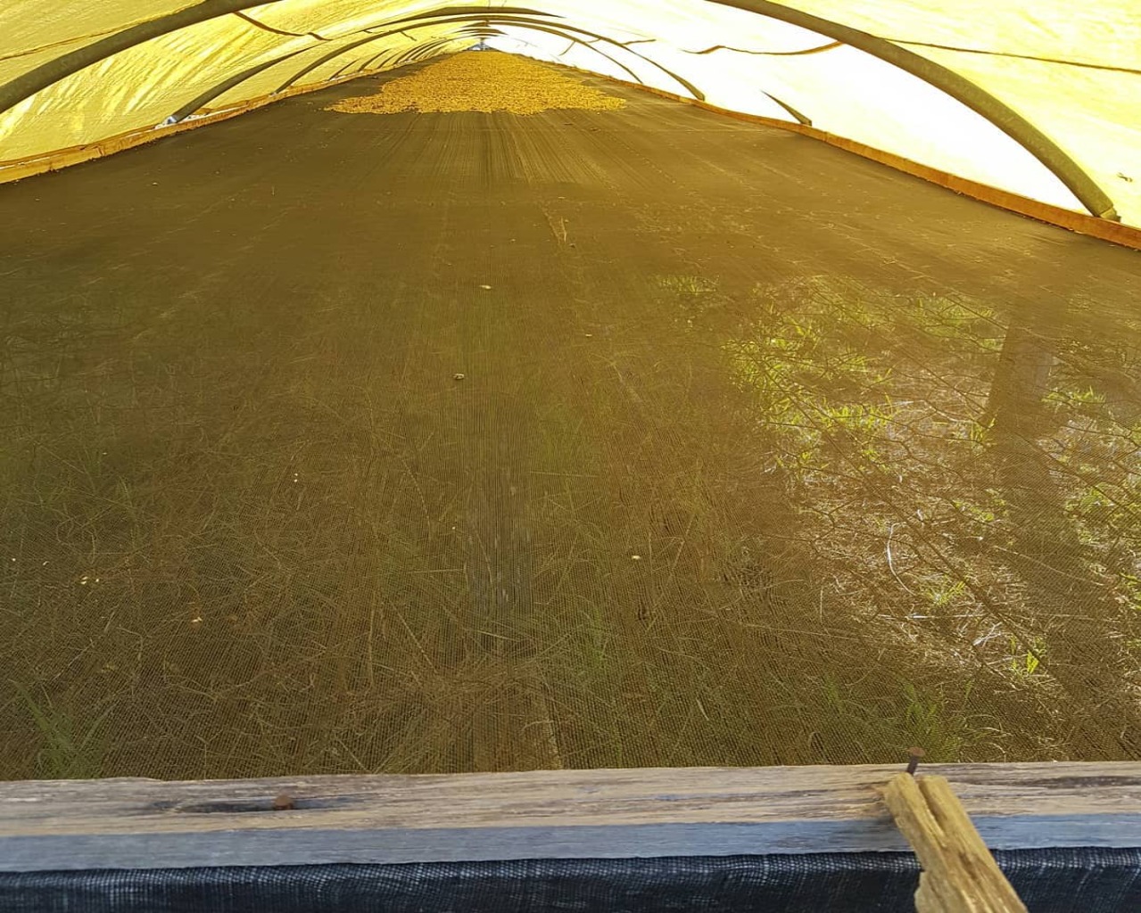 Fazenda rural em bragança paulista - sp, bragança paulista