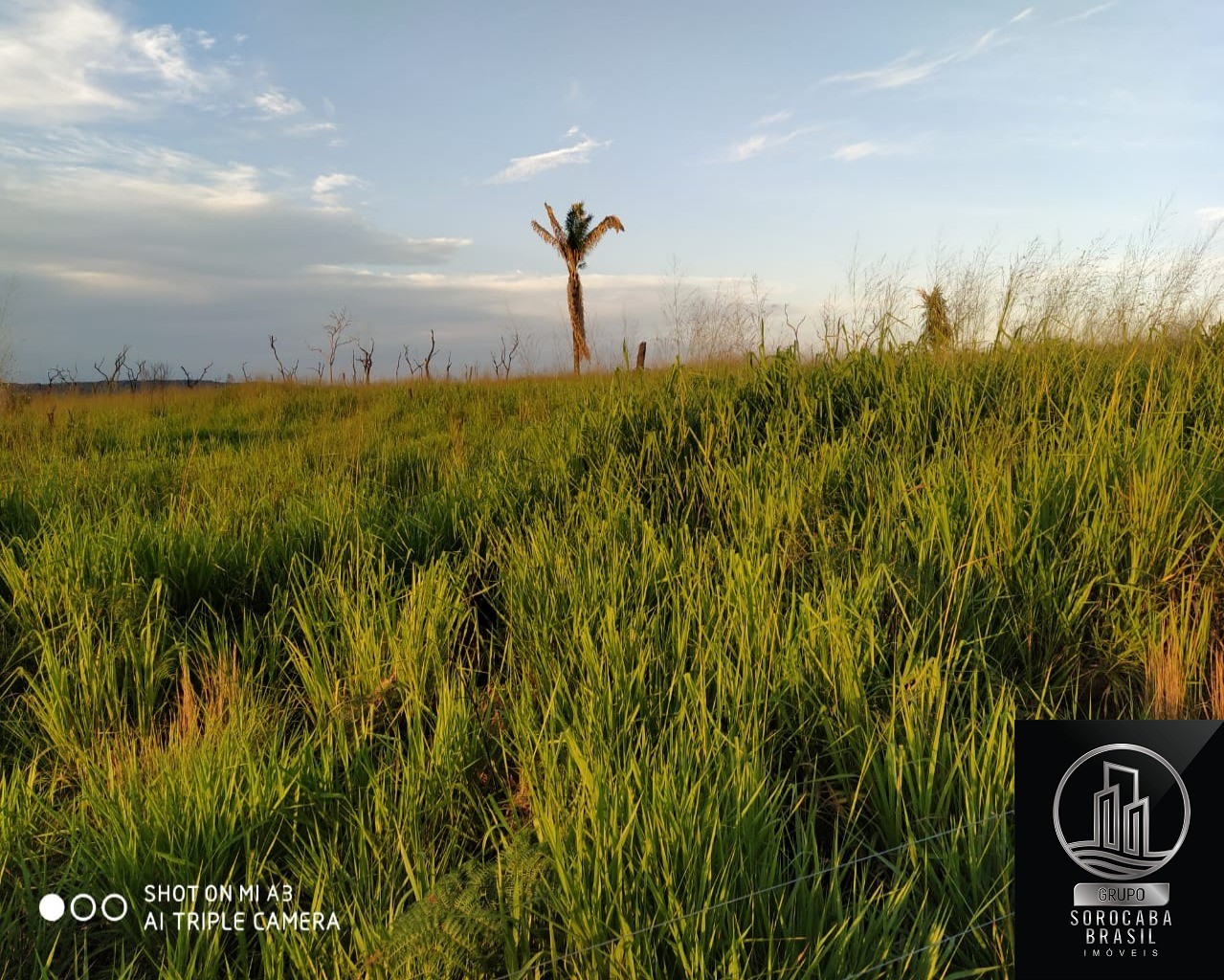 Fazenda rural em vila rica - mt, vila rica