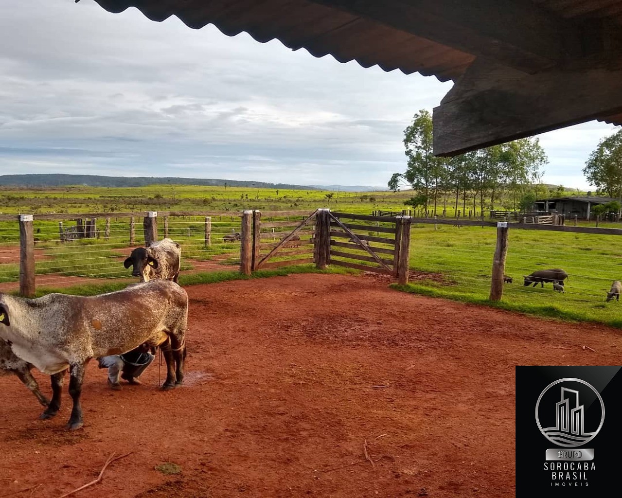 Fazenda rural em vila rica - mt, vila rica