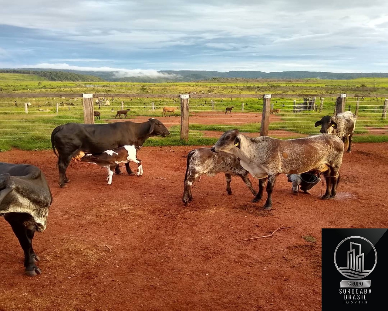 Fazenda rural em vila rica - mt, vila rica