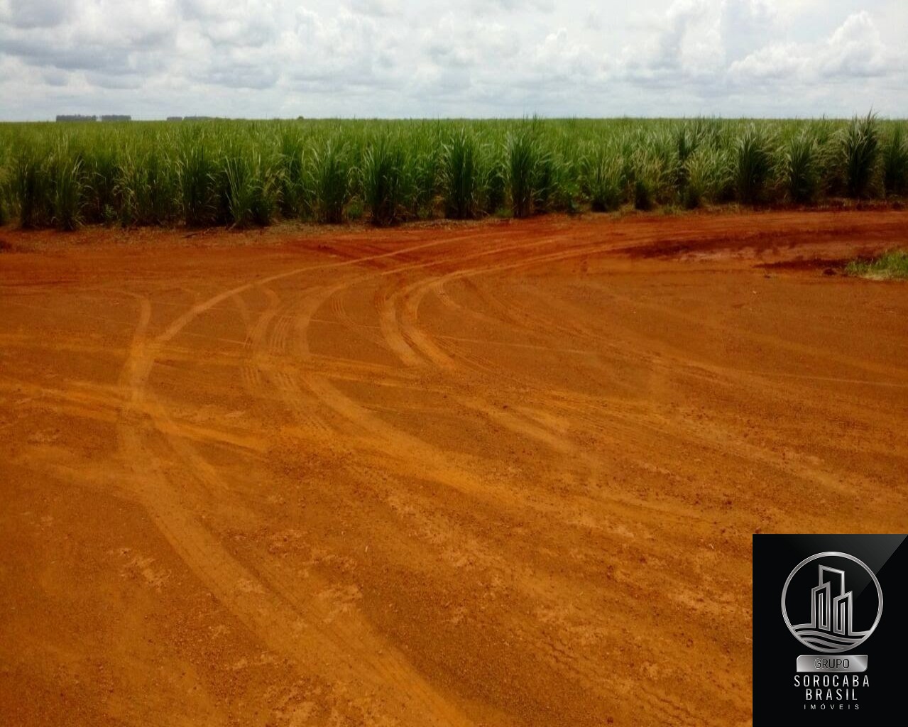 Fazenda 778 alqueires paulista - região de são josé do rio p