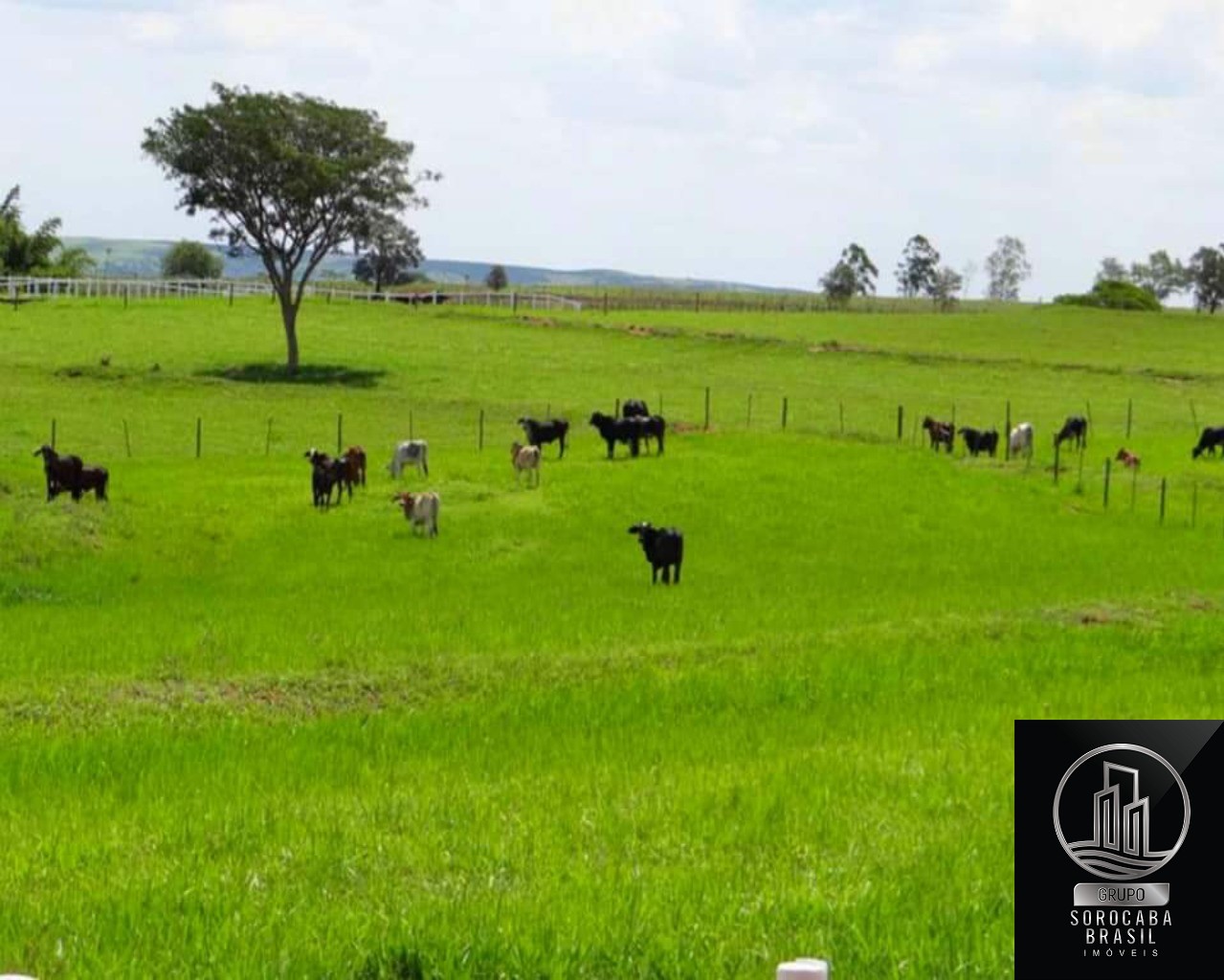 Fazenda de alto padrão no município de bauru/sp