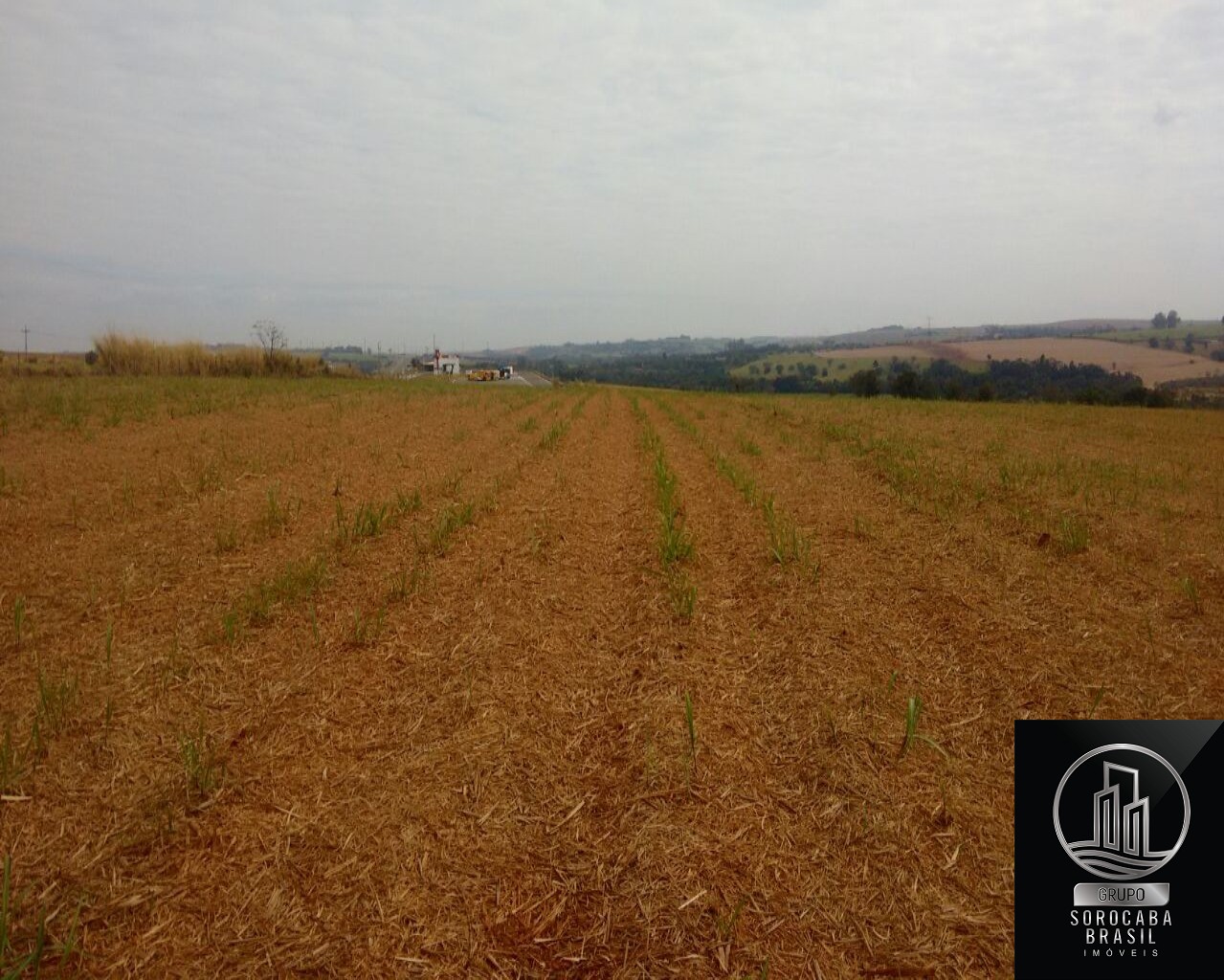 Fazenda no municipio de tatui - 3km frente pra castelo