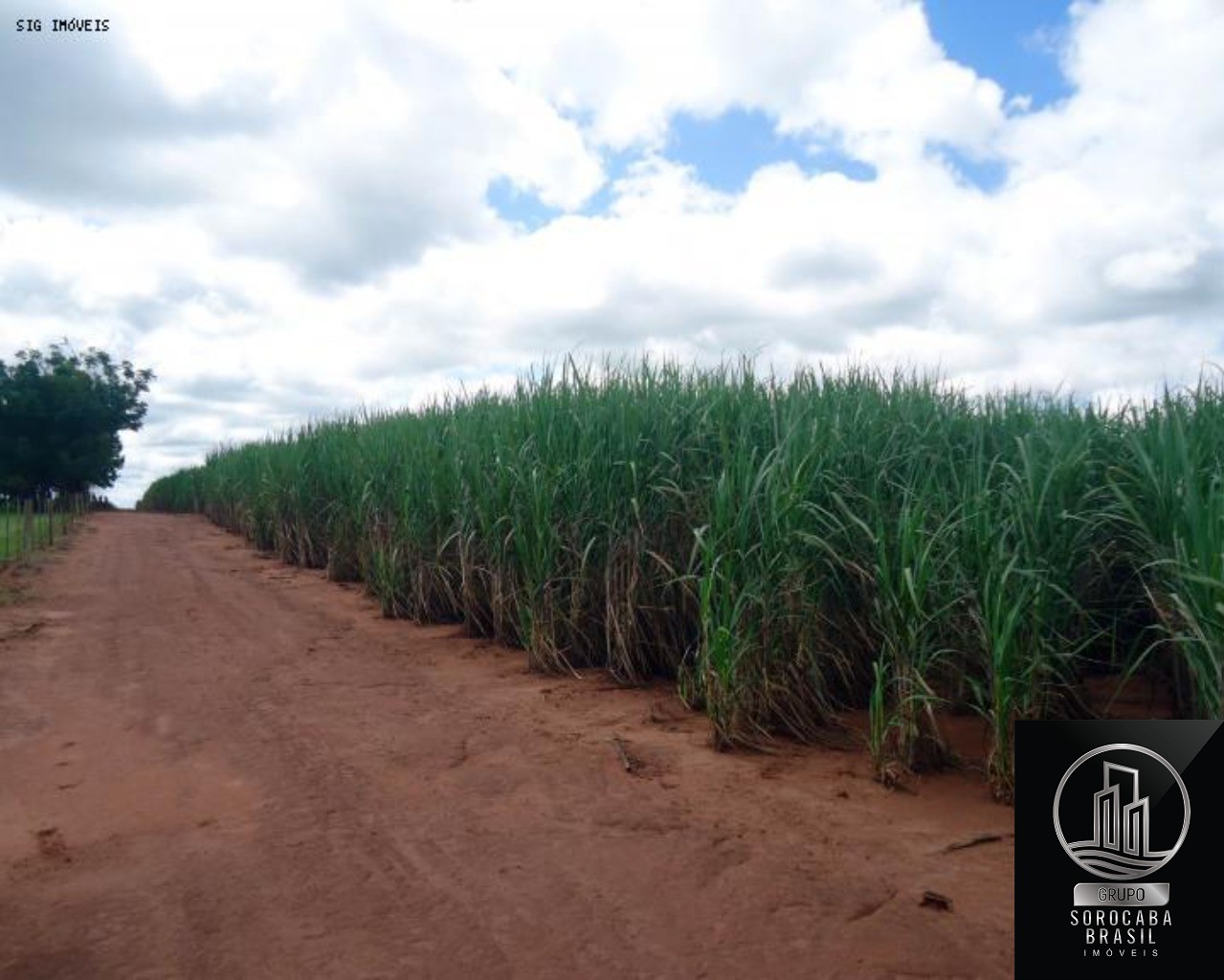 Fazenda à venda, 1.040 alq por R$ 364.000.000 - vila iguacu 