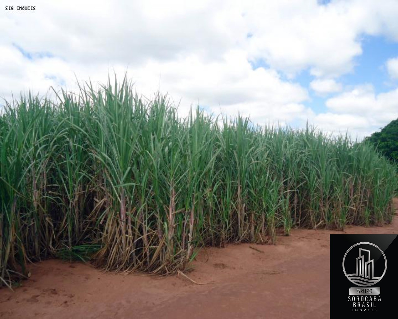 Fazenda à venda, 1.040 alq por R$ 364.000.000 - vila iguacu 