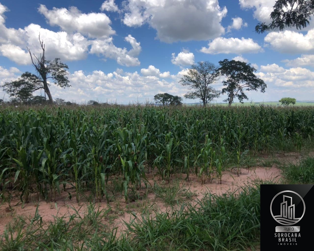 Fazenda são carlos - venha conferir !