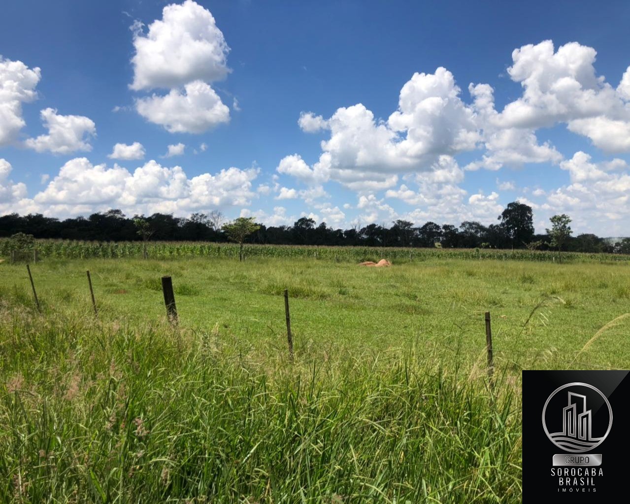 Fazenda são carlos - venha conferir !