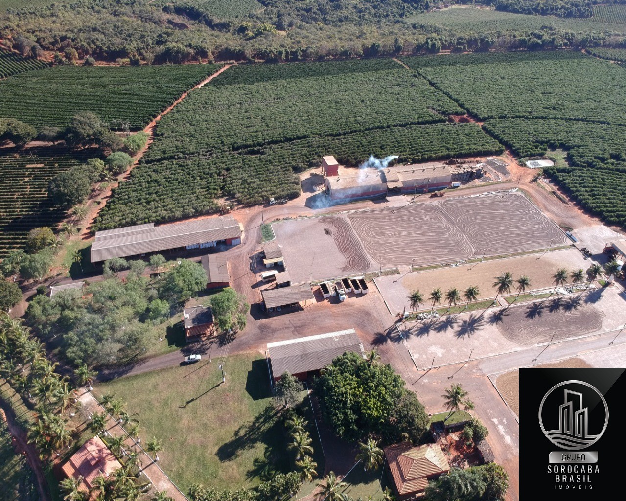 Fazenda 1317 hectares - bahia