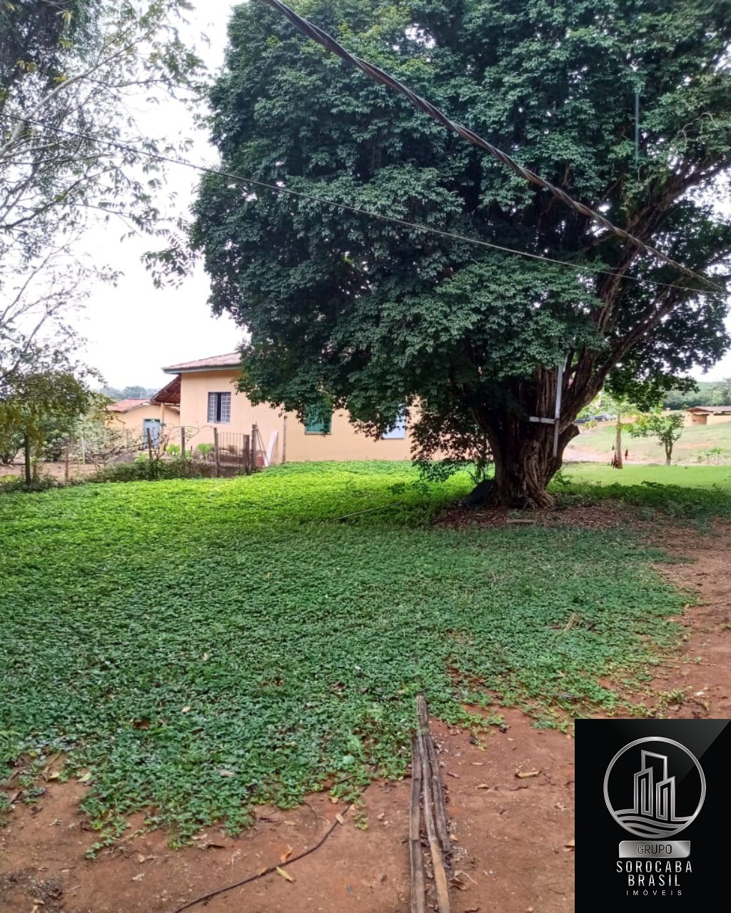 Fazenda 1317 hectares - bahia