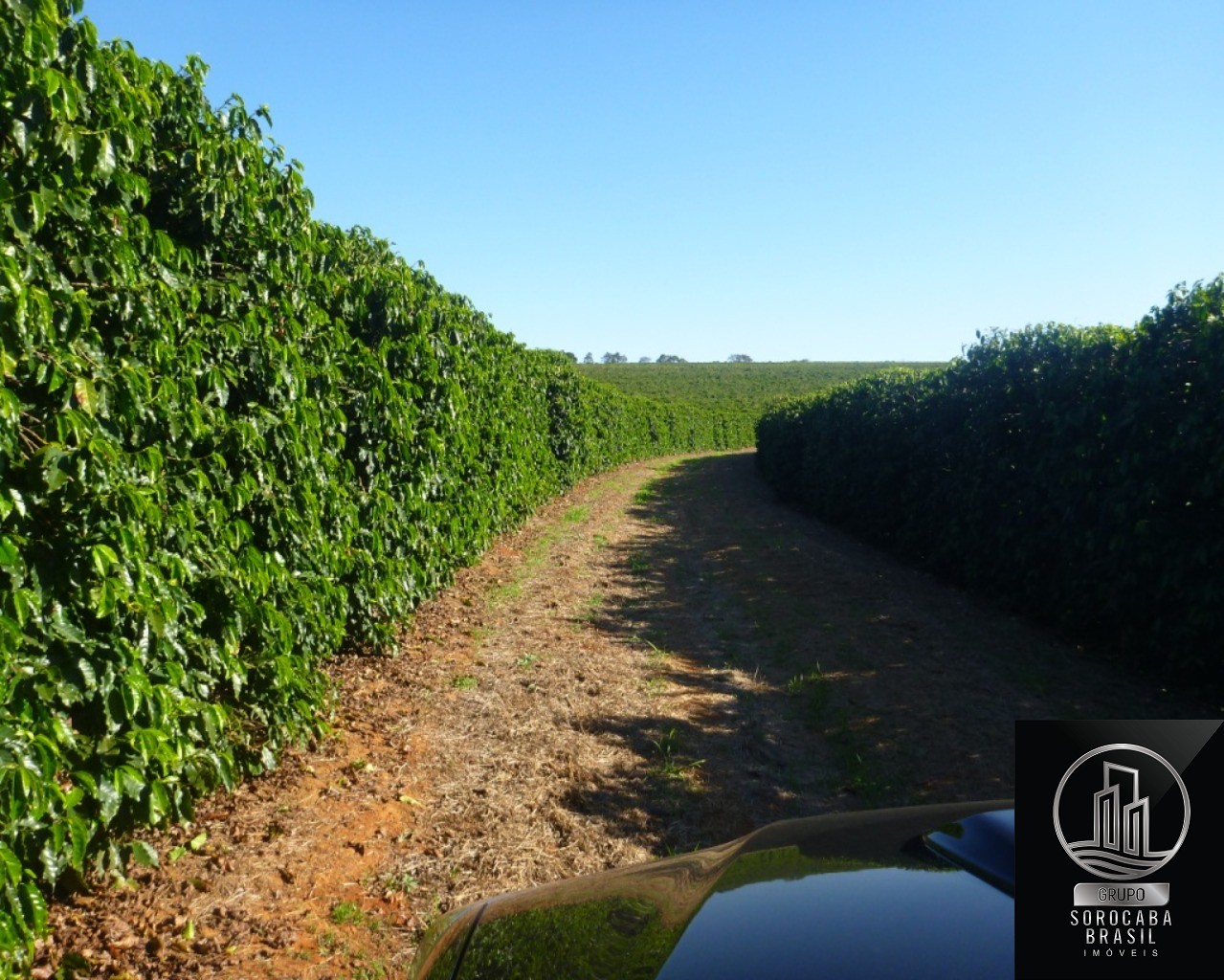 Fazenda 1317 hectares - bahia