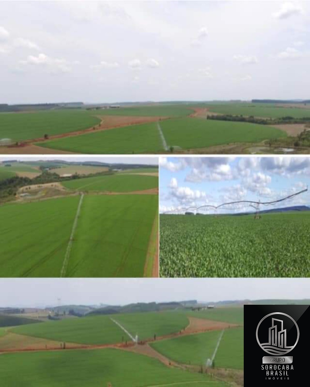 Fazenda na região de itapeva/sp