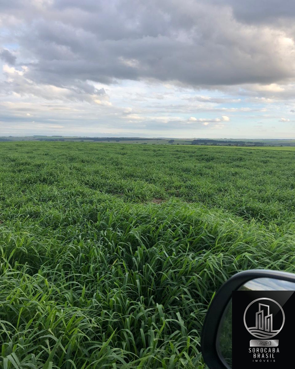 Fazenda em pompeia/sp - 1.080 alq.
