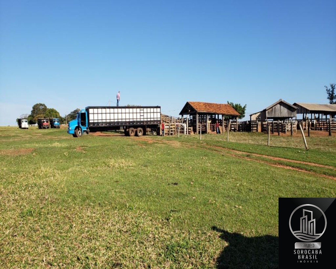 Fazenda no município de itajobi - sp